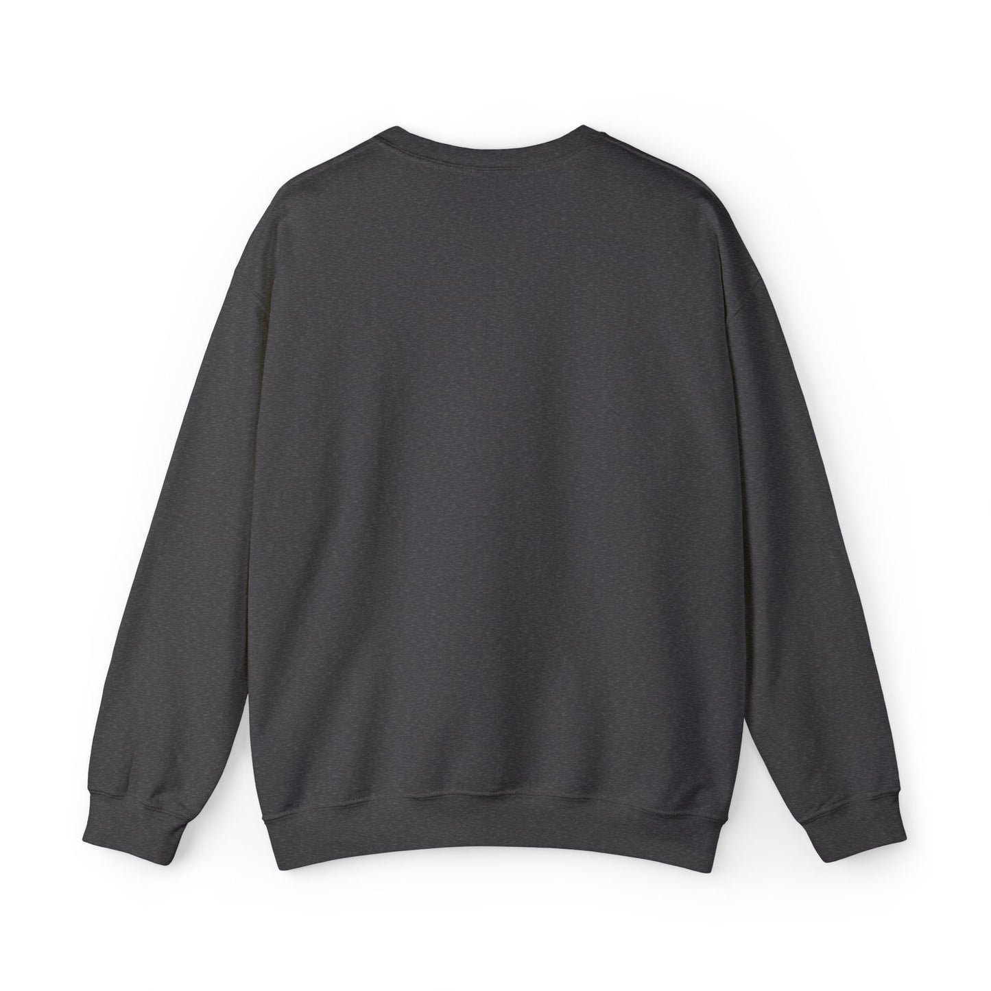 Comet Moth Sweatshirt